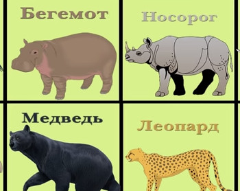 Учим животных. 30 животных