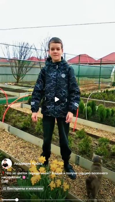 ❓ Что за цветок передо мной? Угадай и получи порцию весеннего настроения! 🌸