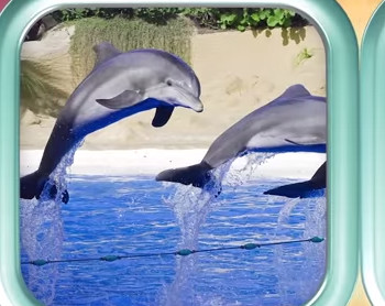 Мультики - Загадки про Животных - Прыг и Скок. Дельфин