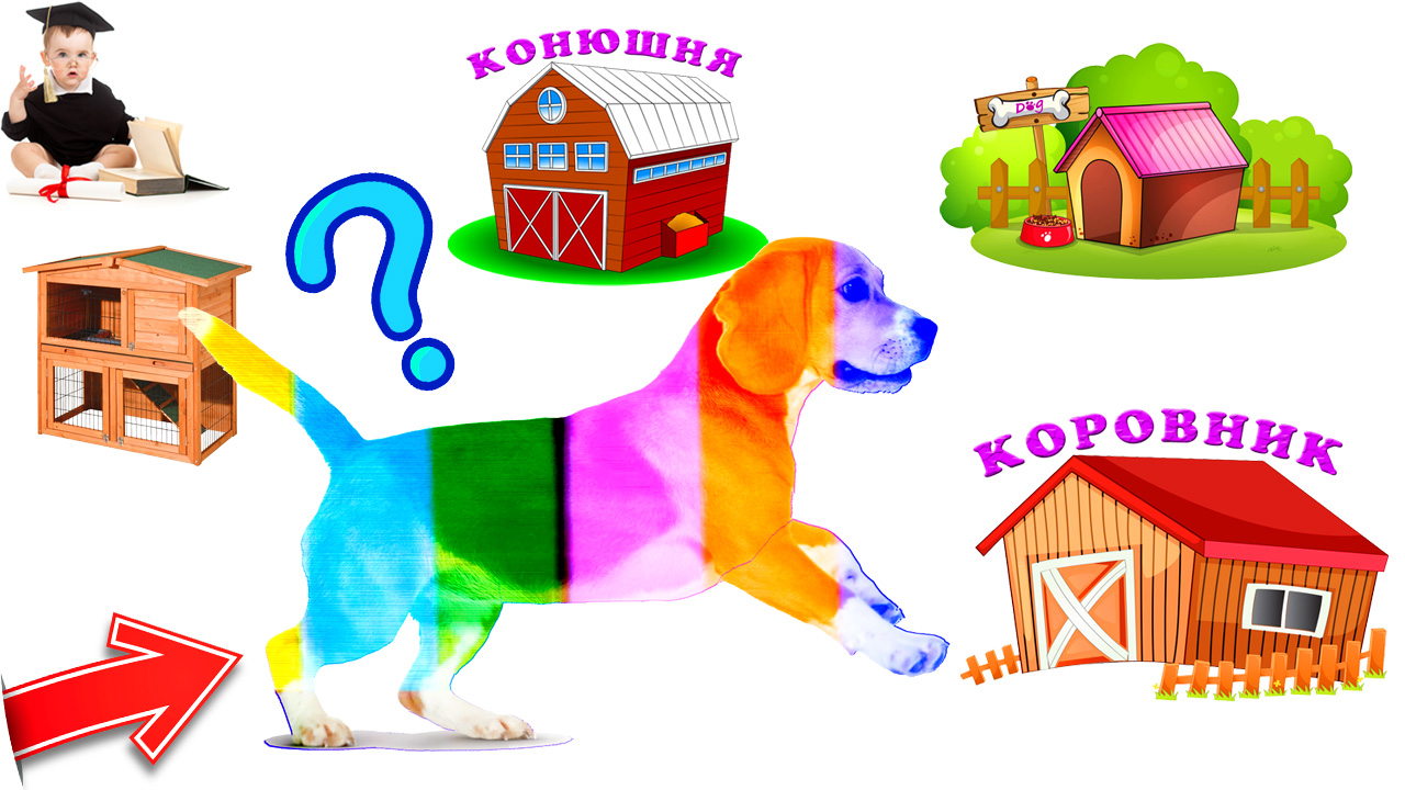Домики животных. Развивающие мультики для детей