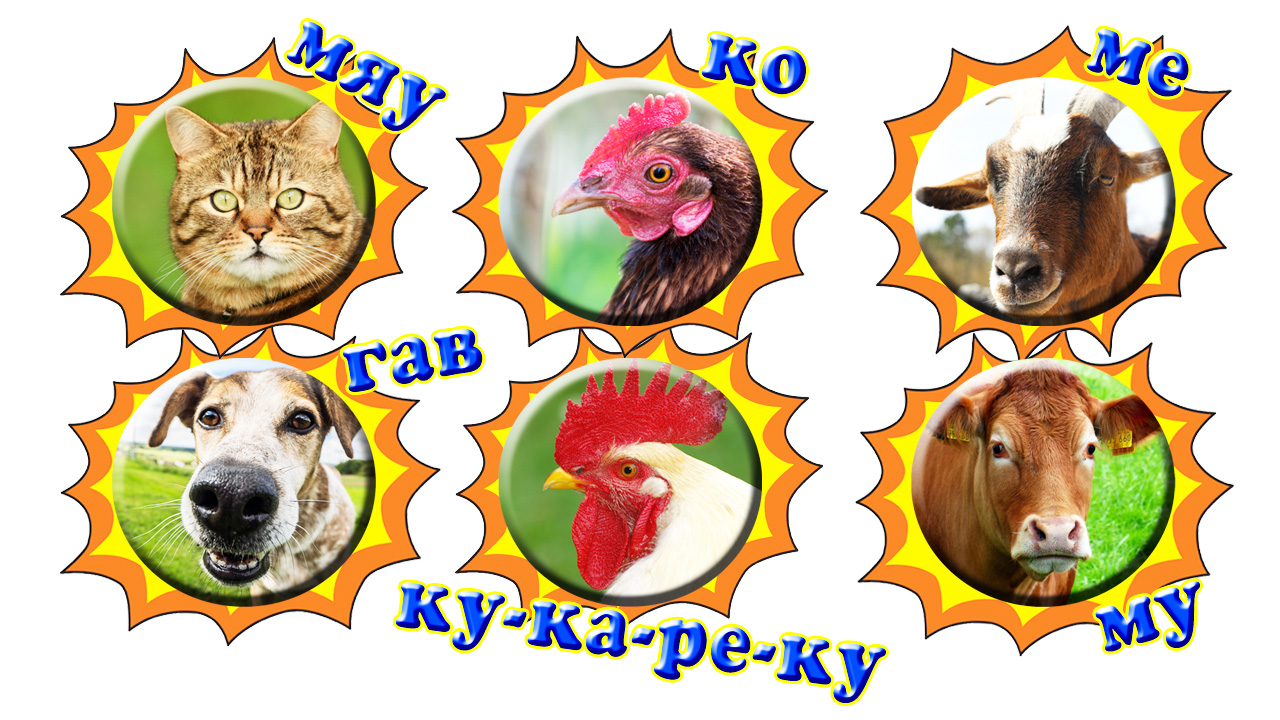 Кто сказал КУ-КА-РЕ-КУ? Обучающий мультик для детей Как говорят животные v37